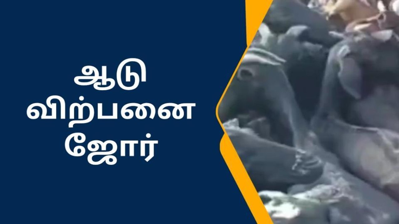 கம்பைநல்லூர் வார சந்தையில் ஆடு விற்பனை ஜோர்