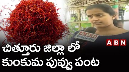 చిత్తూరు జిల్లా లో కుంకుమ పువ్వు పంట || ABN Telugu