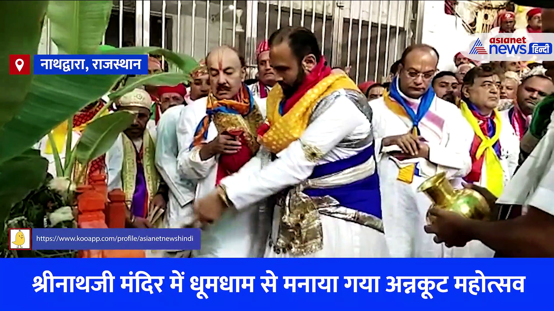 Video: राजस्थान के नाथद्वारा में गोवर्धन महोत्सव, गायों को सजाया गया... मच गई अन्नकूट की लूट 