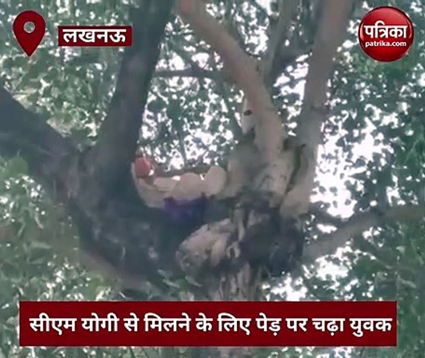 Video: गले में फंदा डालकर पेड़ पर चढ़ा युवक, सीएम योगी से मिलने की जिद