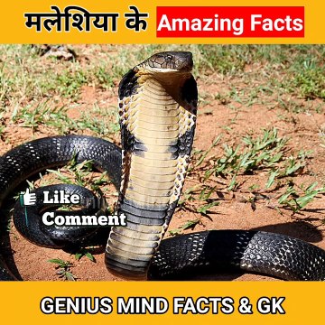 Amazing Facts About Malaysia | मलेशिया से जुड़े गज़ब के तथ्य #shorts #facts