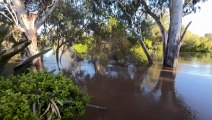 Parts of inland NSW brace for worst flooding in decades