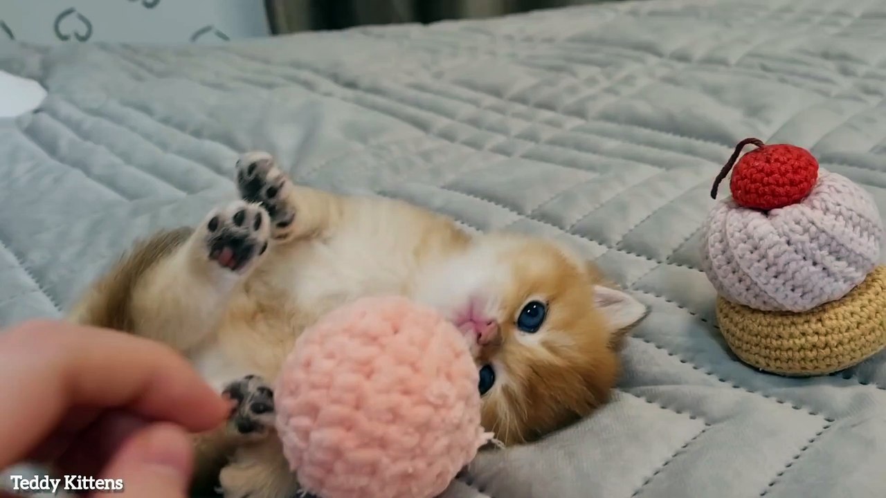 Carefully❗The video contains a lot of Fluffy Donuts and Cupcakes!