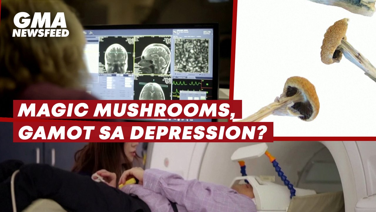 Magic mushrooms, gamot sa depression? | GMA News Feed