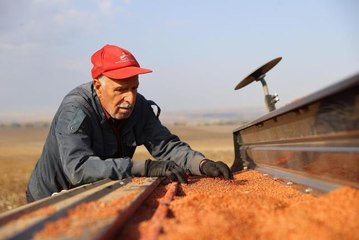 Edirne'de buğday ekimi başladı