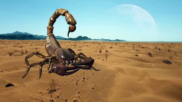 Rồng bay, khủng long bay, Khủng long bạo chúa, khung log, quái vật,Swimming in Beautiful ocean water