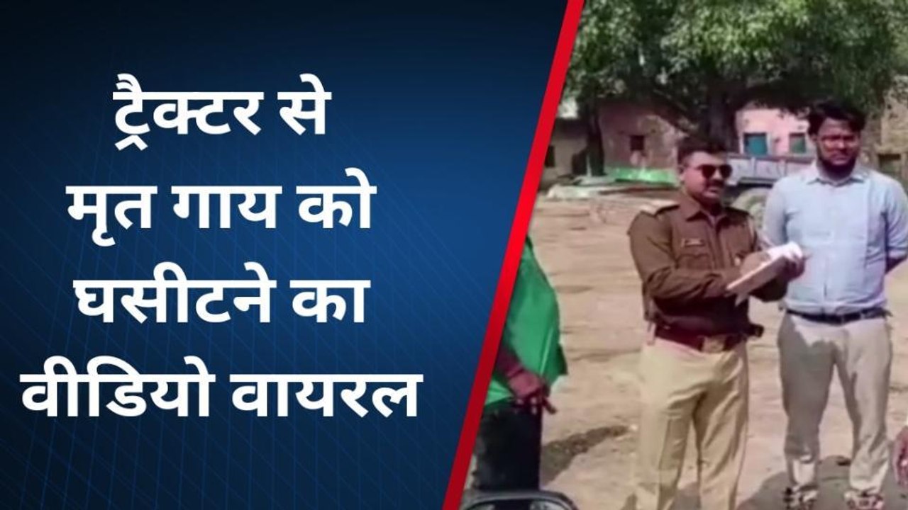 महोबा: एक बार फिर मानवता हुई शर्मशार, मृत गोवंश का शव ट्रैक्टर से घसीटने का वीडियो हुआ वायरल