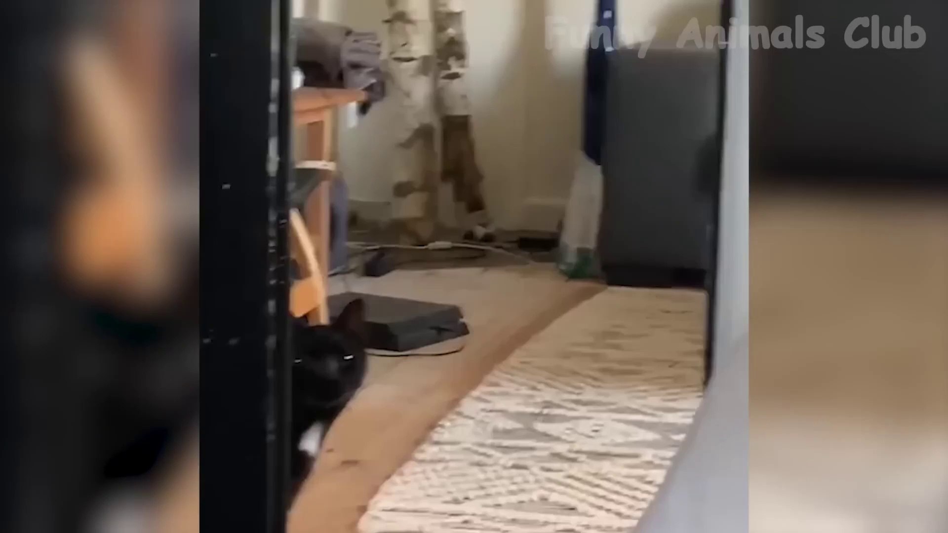 Comedy video #comedy