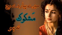 Mere Pyar De Vich Mashkook Na Ho | Sad Punjabi Poetry | Punjabi Kalam | Best Punjabi Poetry | Riaz Mohsin official