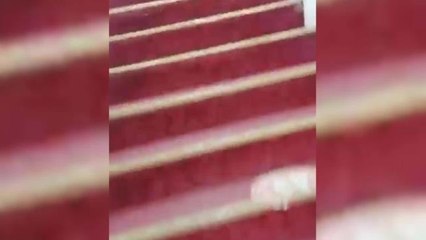 İzmir'de Briç Kulübüne Kumar Baskını