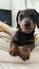 Why is he posing like that