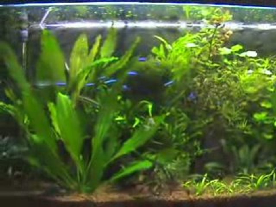 aqua 200 litres communautaire