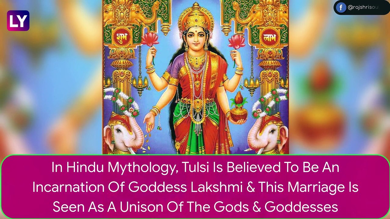 Tulsi Vivah 2022: Date, Significance, Shubh Muhurat, Puja Rituals Of The Marriage Ceremony Between Tulsi Plant & Lord Vishnu