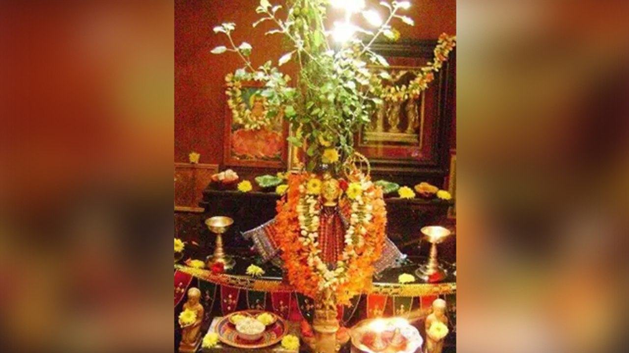 Tulsi Vivah 2022 :तुलसी विवाह क्यों किया जाता ह...
