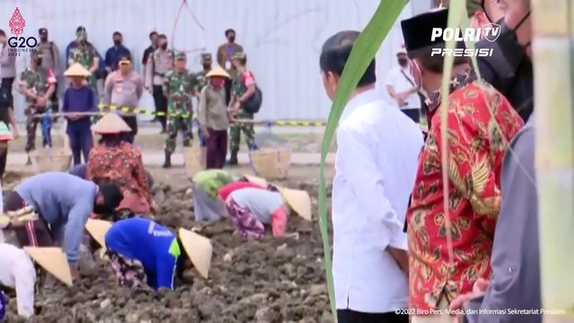 Presiden Jokowi Berikan Keterangan usai Tinjau Kebun Tebu, Mojokerto