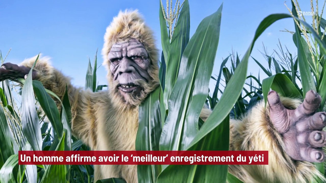 'Mon premier réflexe a été de courir' : un homme raconte sa rencontre  avec le yéti !