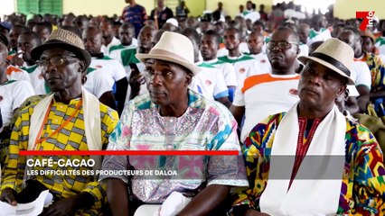 7 minutes du 2 novembre 2022 (édition du 12h)