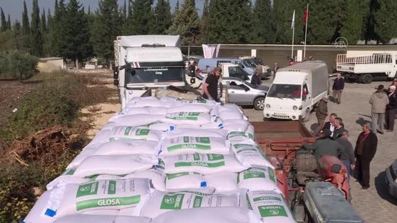 Bursa'da atıl tarım arazileri yüksek verimli buğday tohumuyla ekonomiye kazandırılıyor