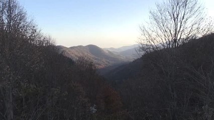 Yedigöller Milli Parkı'nda çıkan orman yangınına müdahale ediliyor