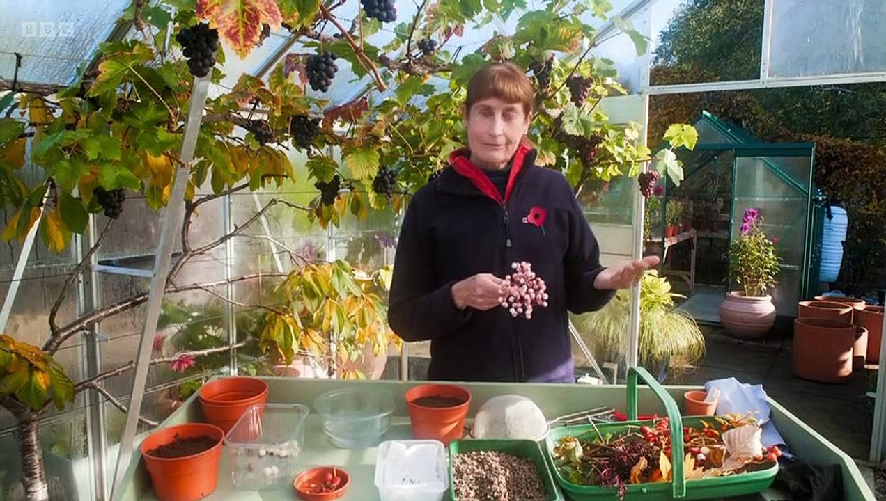 Beechgrove Gardens in Winter 2022 episode 1