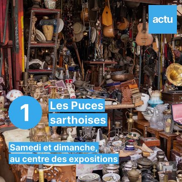 10 sorties au Mans les 5 et 6 novembre 2022