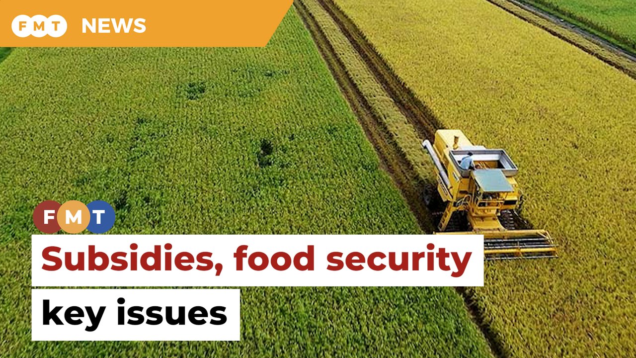 Subsidies, food security a priority for next govt, say economists