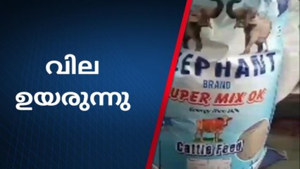 ഇടുക്കി : ക്ഷീരകർഷകരെ പ്രതിസന്ധിയിലാഴ്ത്തി കാലിത്തീറ്റ വില ഉയരുന്നു
