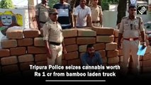 Tripura Police seizes cannabis worth Rs 1 crore