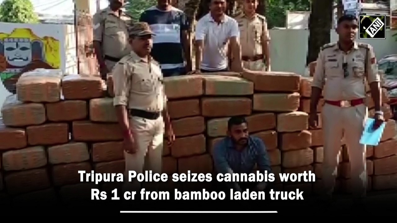 Tripura Police seizes cannabis worth Rs 1 crore