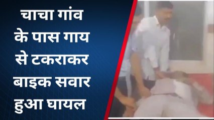 पोकरण : गाय से टकराकर बाइक सवार घायल, पहुचाया अस्पताल