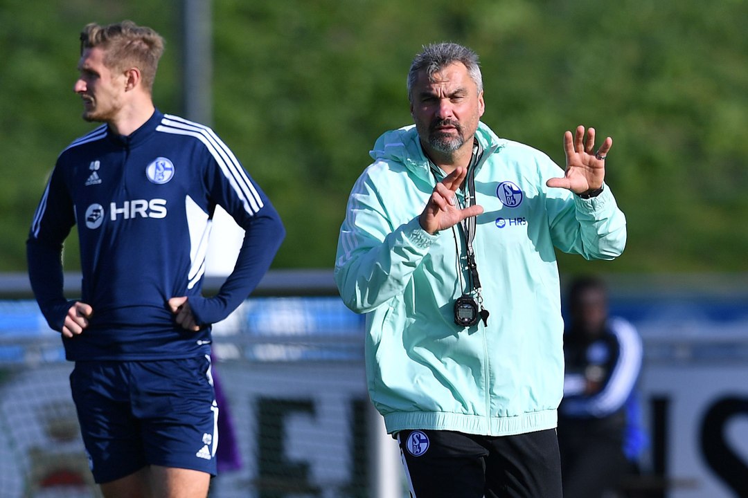 Reis' Arbeit 'gegen die Statistik' - Werner wittert neue Schalke-Dynamik