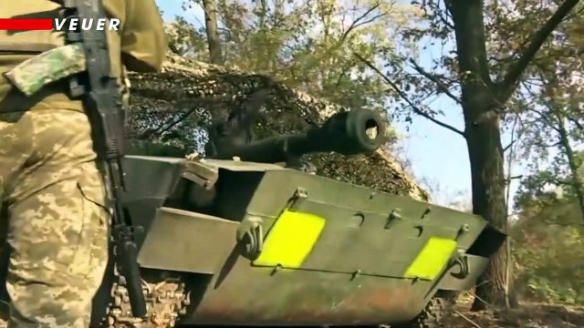 Hundreds of Dolphins Killed Likely Because of the War in Ukraine, Scientists Say