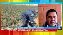 Helada en Cochabamba provoca pérdidas en cultivos de maíz, papa, alverja y plantas frutales