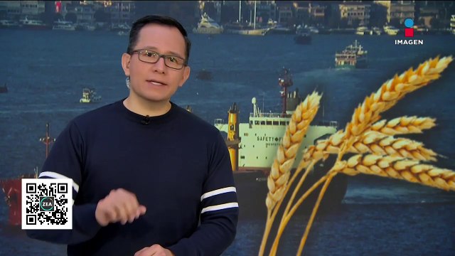 Buques cargados de granos zarparon ayer desde puertos ucranianos
