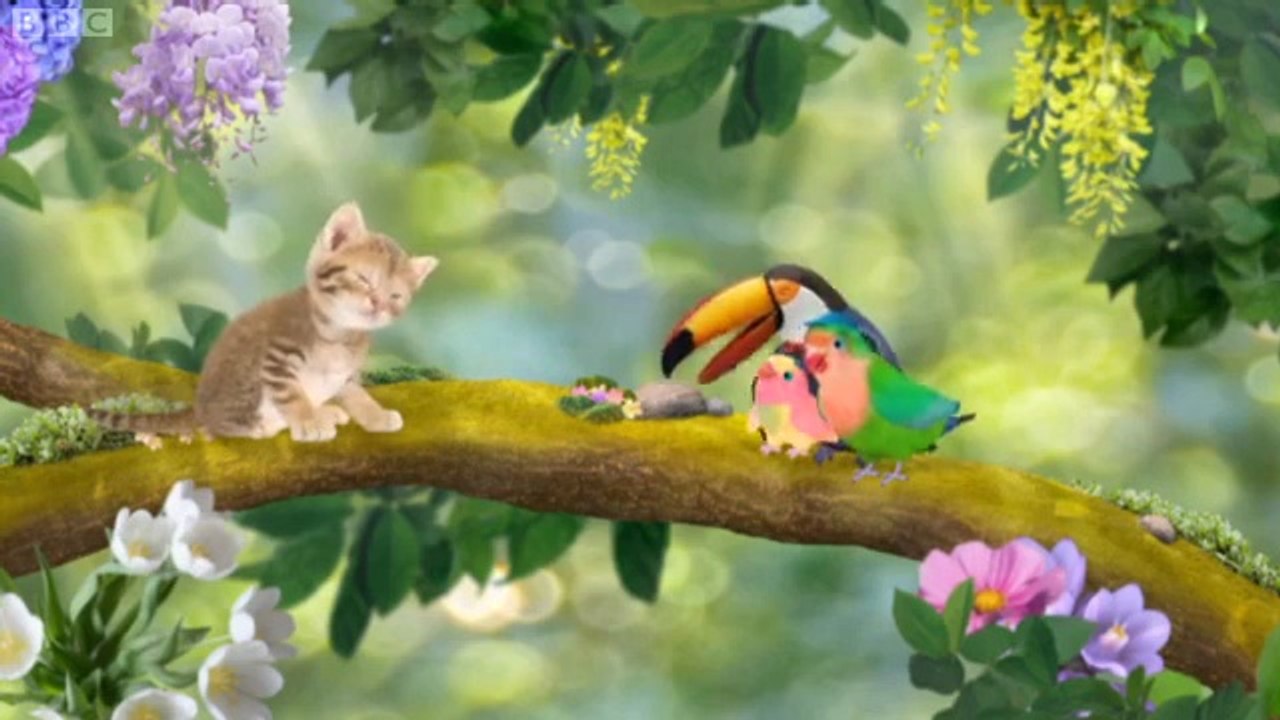 3rd & Bird -  Meow Kitty!
