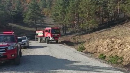 Çıkan yangında 2 dönüm ormanlık alan zarar gördü