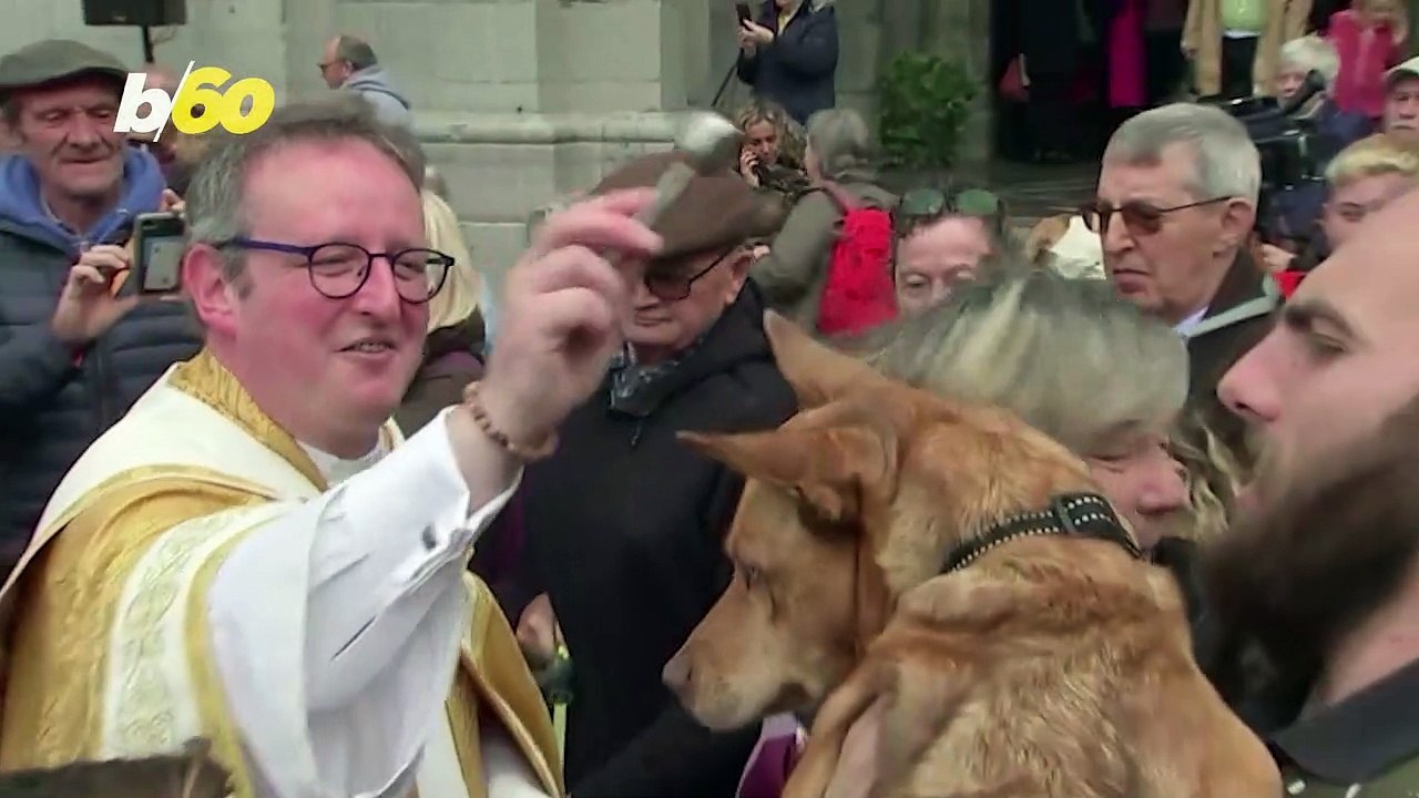Dog Blessings at Belgian Catholic Church