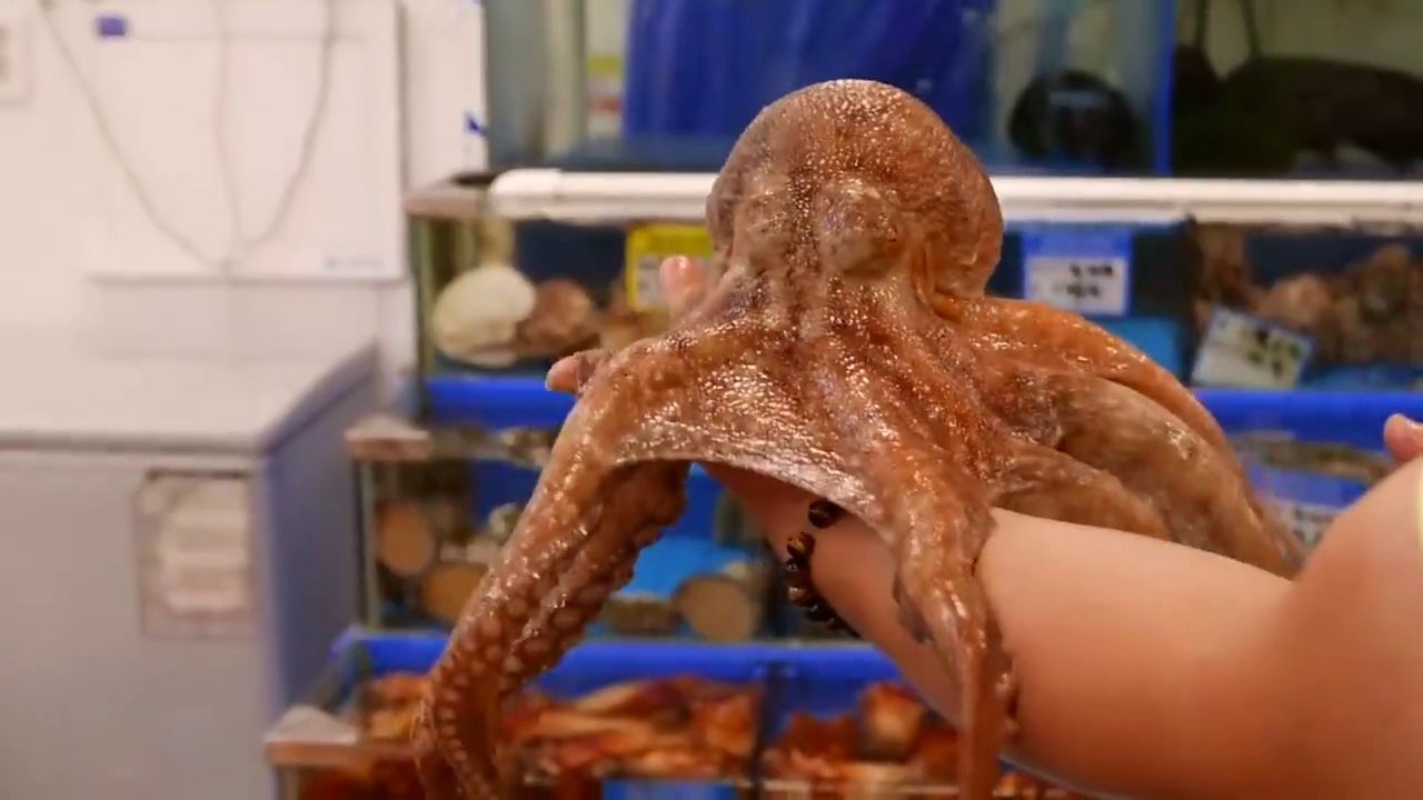 Korean Food | Seoul Seafood - GIANT OCTOPUS