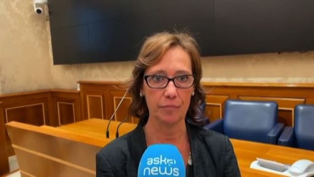 Codici identificativi per gli agenti, ddl della senatrice Cucchi