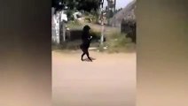 Una cabra caminando en dos patas causa terror en la India