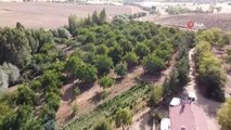 İç Anadolu Bölgesi seracılık ve gıda üretimde üs bölgesi haline gelecek