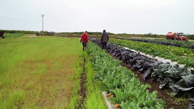 The American Farm - Se1 - Ep06 - On the Brink HD Watch HD Deutsch