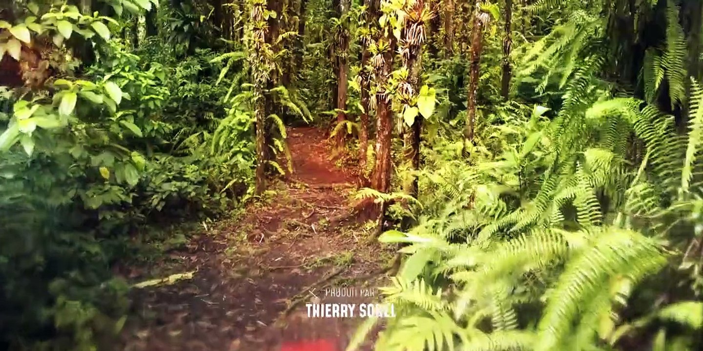 Deadly Tropics Staffel 1 Folge 1 HD Deutsch