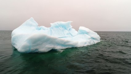What to expect from COP27 this year