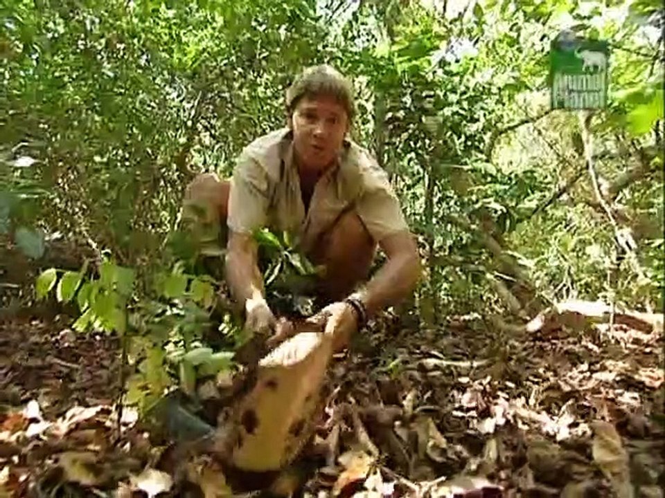 Crocodile Hunter Staffel 2 Folge 5 HD Deutsch