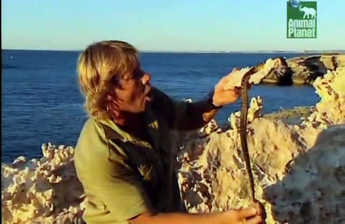 Crocodile Hunter Staffel 2 Folge 8 HD Deutsch