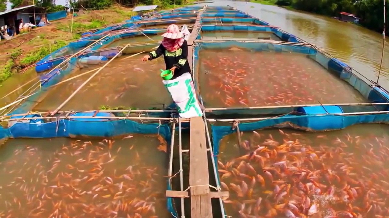 Top 10 Mysterious Creatures Created By Scientists