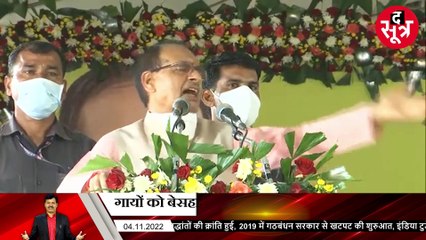 द सूत्र की खबर पर लगी सरकार की मुहर, गायों को बेसहारा छोड़ा तो लगेगा 1000 रु. जुर्माना