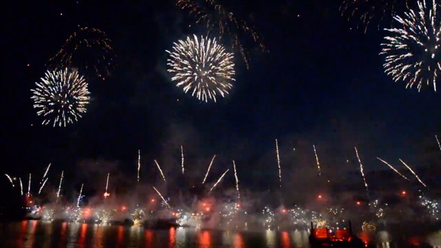 RSPCA launches campaign to raise awareness of scared animals around Kent on bonfire night