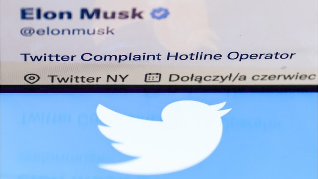 Depuis son rachat par Elon Musk, Twitter a perdu près d'un million d'utilisateurs